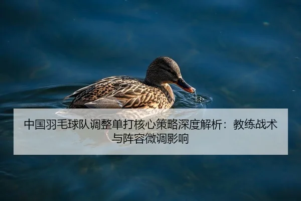 zhong-guo-yu-mao-qiu-dui-tiao-zheng-dan-da-he-xin-ce-lve-shen-du-jie-xi-jiao-lian-zhan-shu-yu-zhen-rong-wei-diao-ying-2-997.jpg