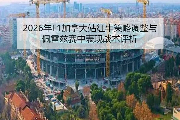 nian-jia-na-da-zhan-hong-niu-ce-lve-tiao-zheng-yu-pei-lei-zi-sai-zhong-biao-xian-zhan-shu-ping-xi-2-374.jpg